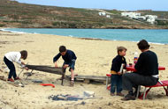 Préparation des grillades sur la plage de Kalo Livadi